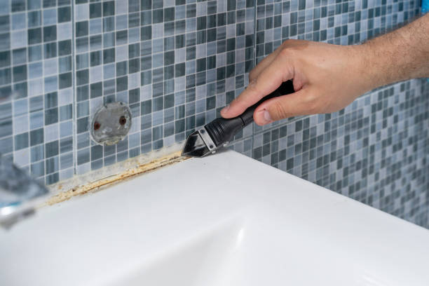 Best Mold Removal Process  in Altamonte Springs, FL